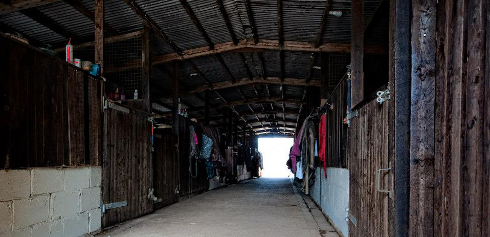 stables interior