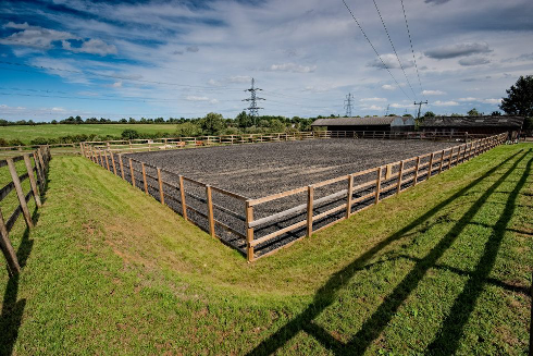 stable door